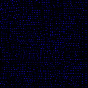 Matrix (2008)